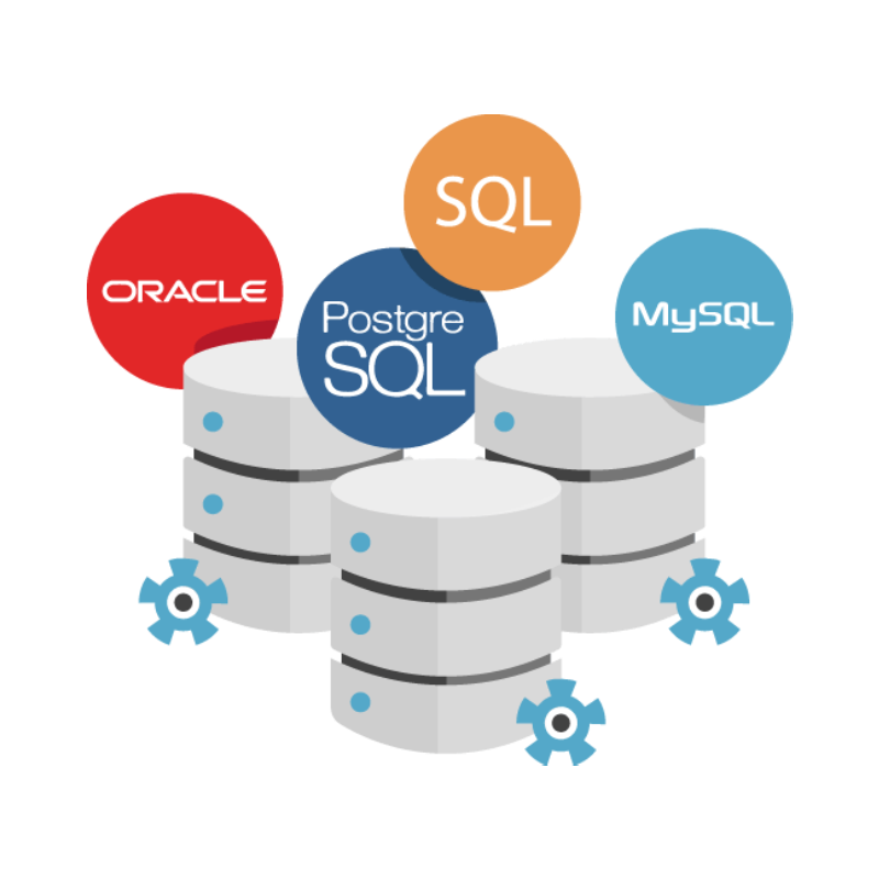 Website Database Development